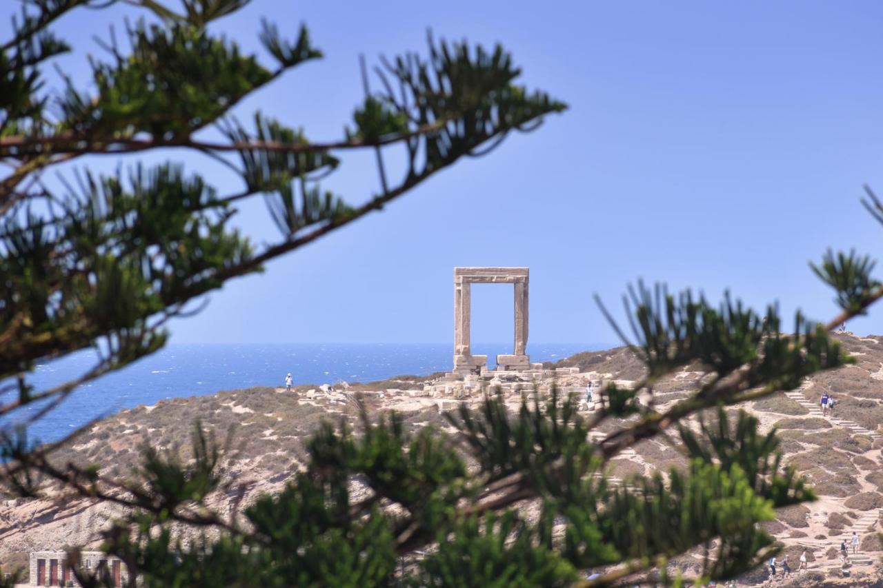 Mariet Naxos Spa & Suites Naxos City Exterior foto